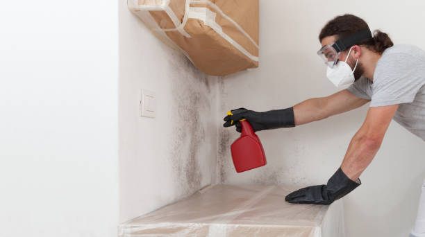 Professional Crawl Space Mold Remediation technician working in Greenbush, VA
