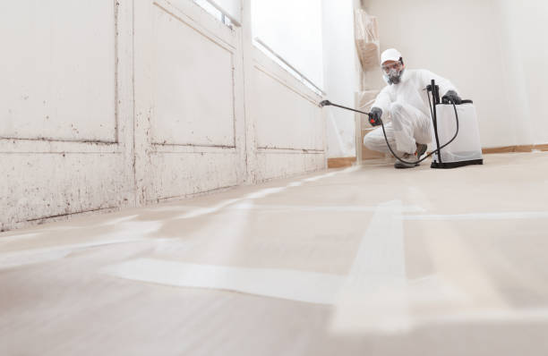 24/7 Emergency Crawl Space Mold Remediation experts in Greenbush, VA